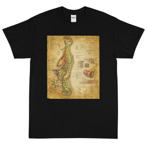 Vintage Anatomical Image on t-shirt, the Nervous System Anatomy