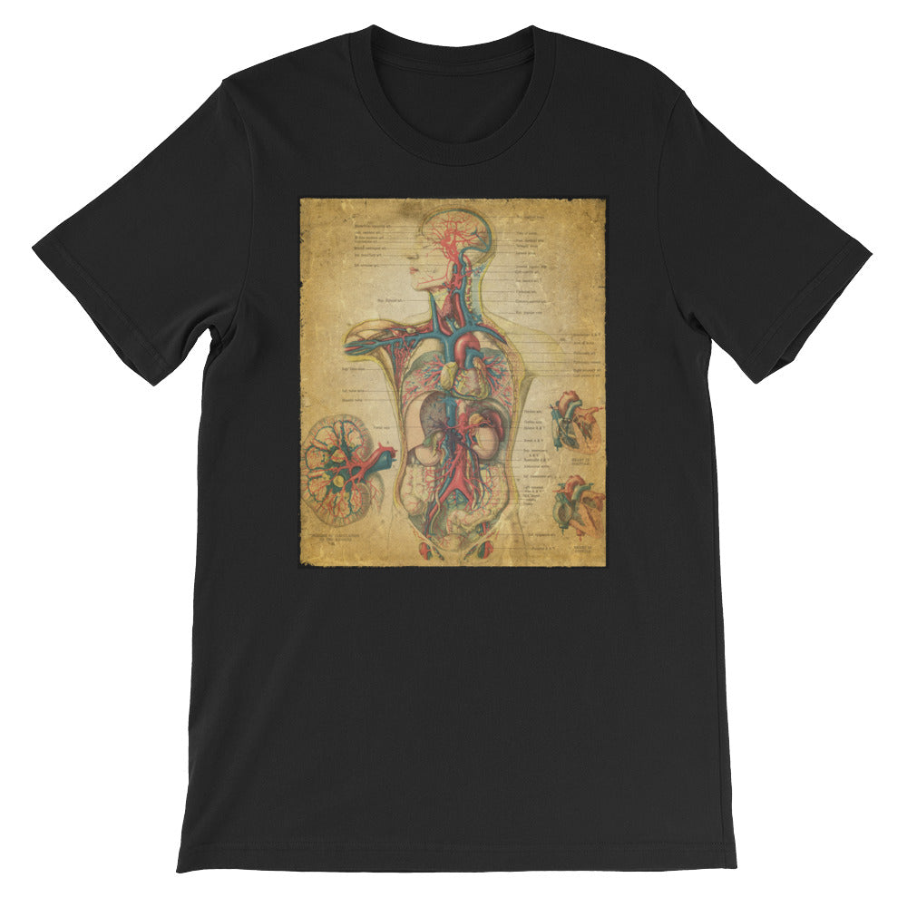Vintage Anatomical Image on t-shirt, the Circulatory System Anatomy