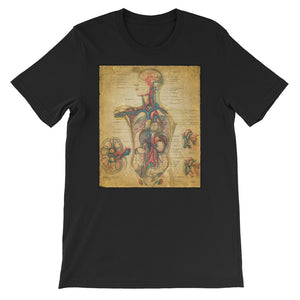 Vintage Anatomical Image on t-shirt, the Circulatory System Anatomy
