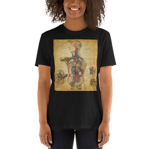 Vintage Anatomical Image on t-shirt, the Circulatory System Anatomy